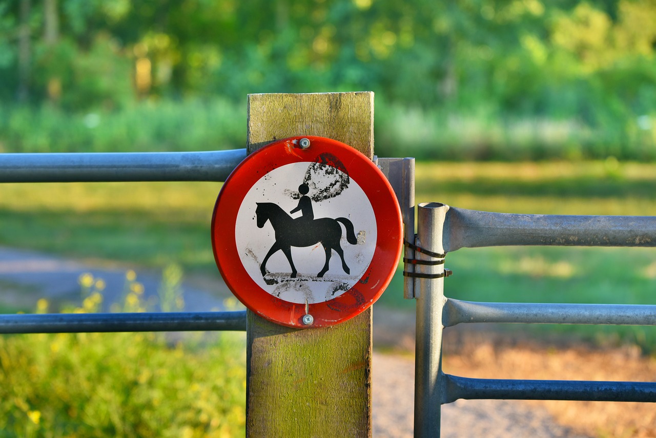 Reasoning Behind Safety Regulations: Human Behavior in Focus